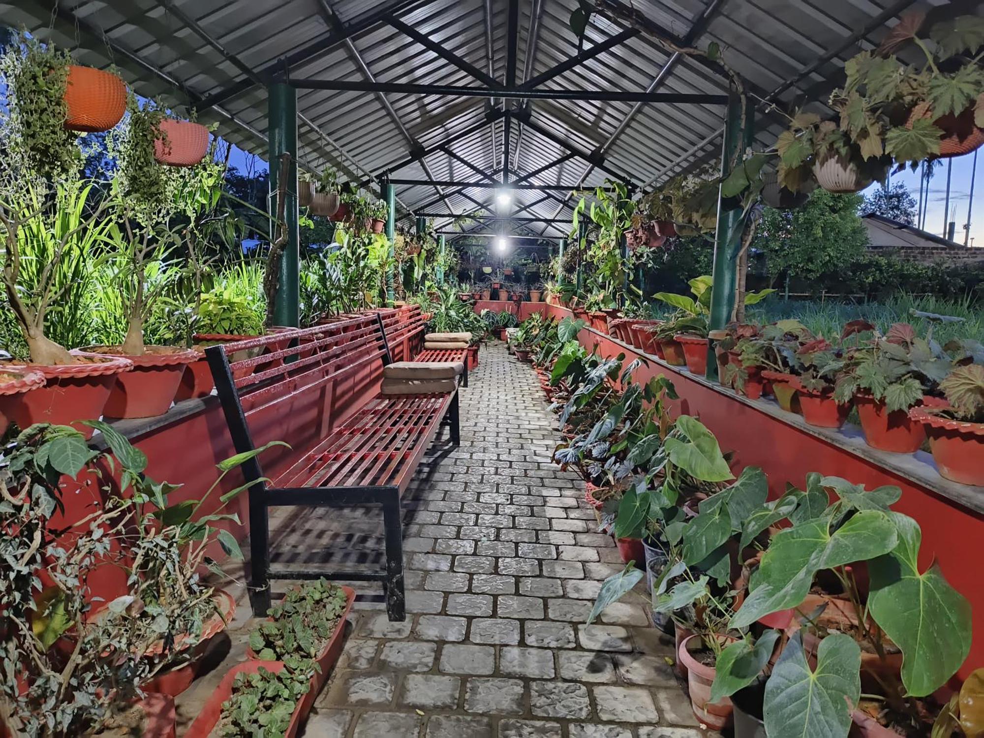 Jorhāt Jaanki Farms & Resorts מראה חיצוני תמונה